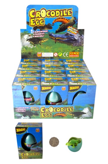 CROCODILE EGG CROCODILE EGG