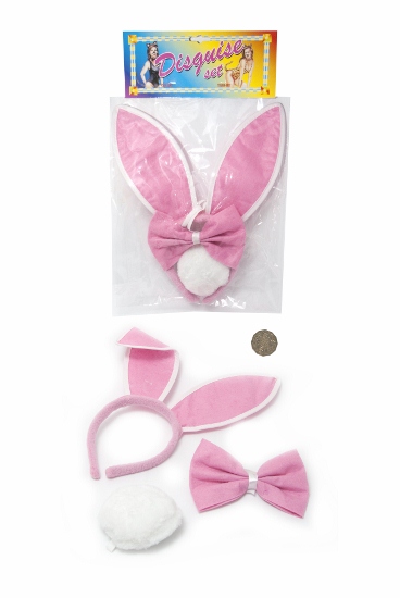 DISGUISE SET (BUNNY)
